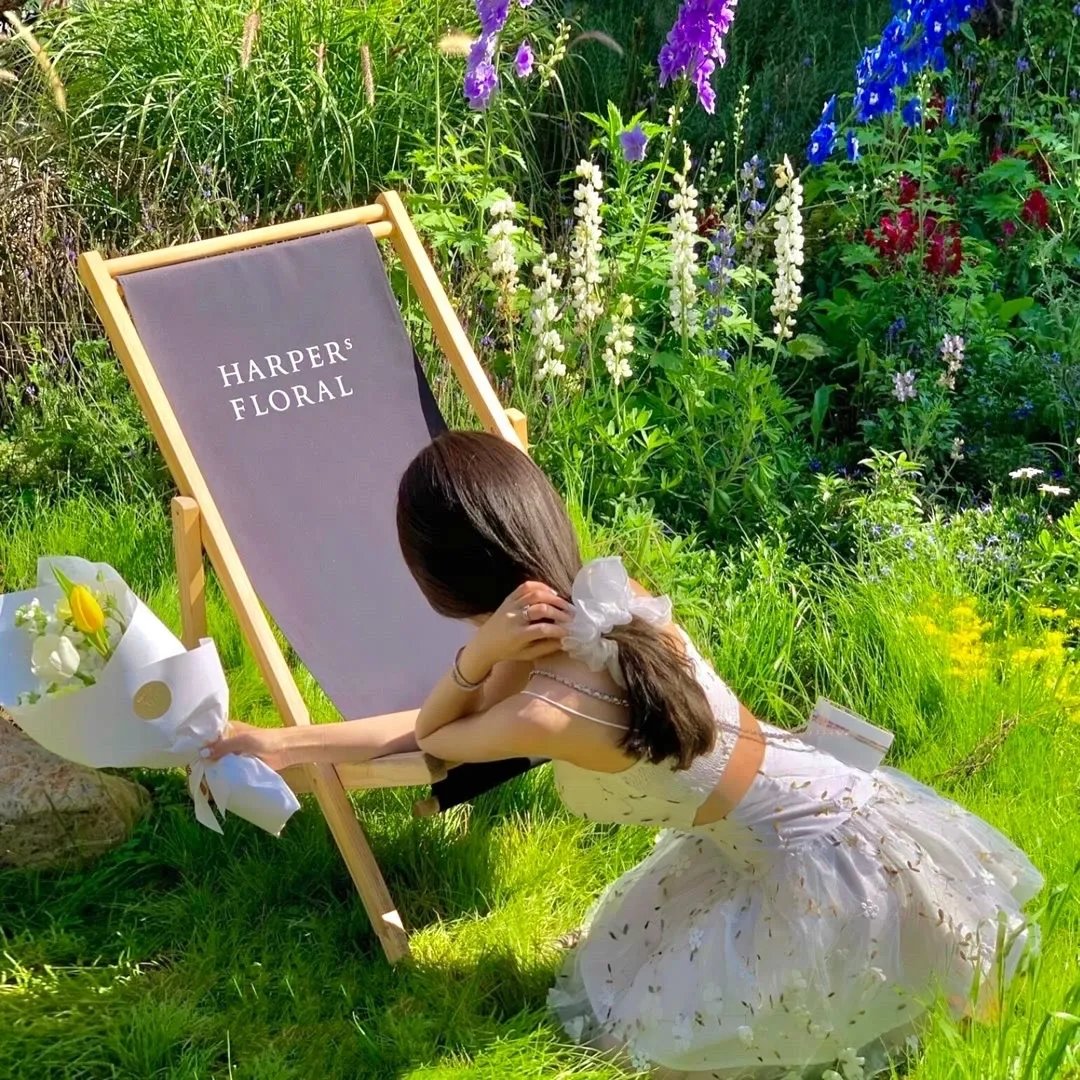 我的英雄学院第七季